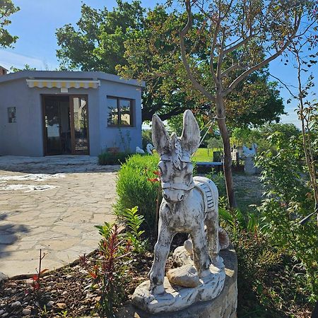 Villa Doci Zadar Exteriér fotografie