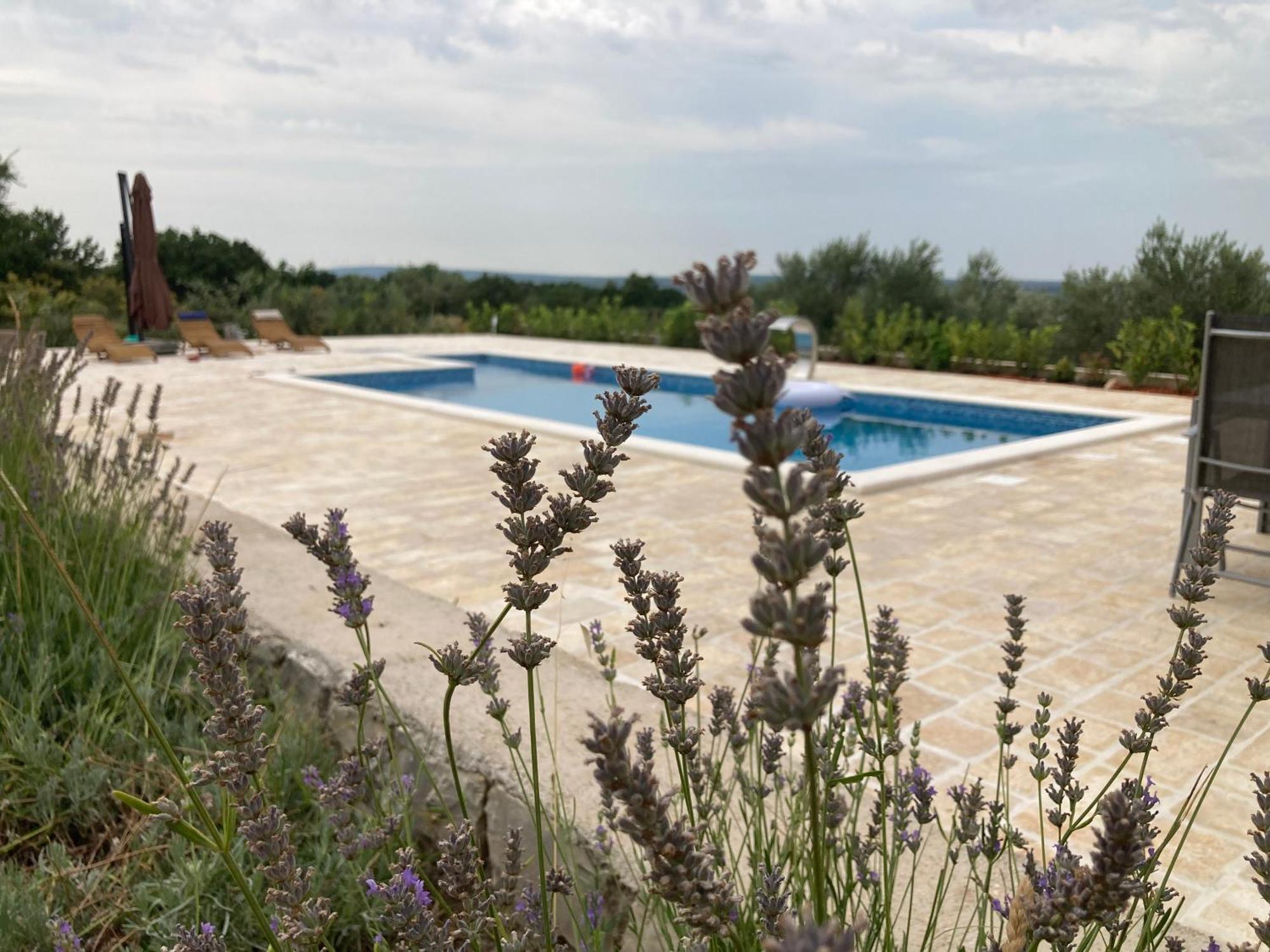 Villa Doci Zadar Exteriér fotografie